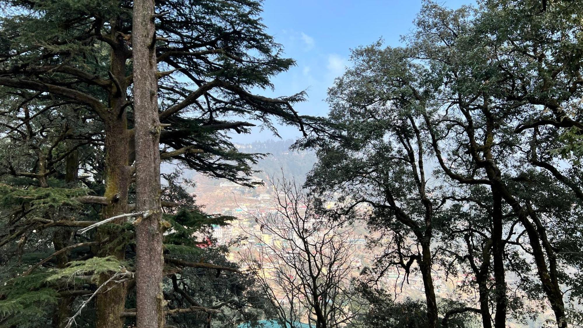 Hotel Pride Inn - 800 Mts From Mall Road 무소리에 외부 사진